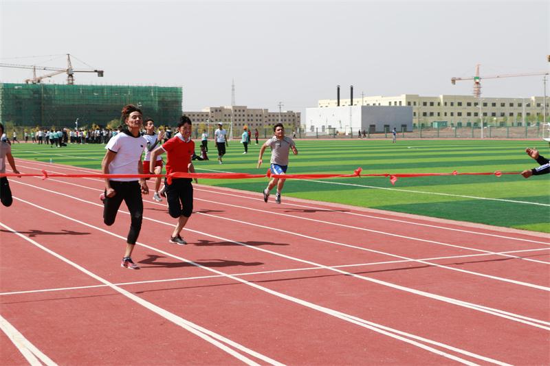 不断提升高校人才培养、科学研究、社会服务等能力 支撑人工智能…